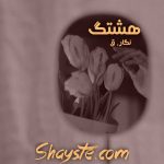 دانلود رمان هشتگ به قلم نگار.ق با لینک مستقیم
