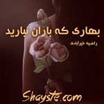 دانلود رمان بهاری که باران نبارید به قلم راضیه خیرآبادی با لینک مستقیم