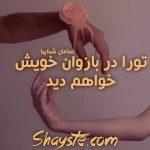 دانلود رمان تو را در بازوان خویش خواهم دید به قلم سامان شکیبا با لینک مستقیم